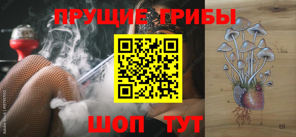 Соликамск  Галлюциногенные грибы Magic Shrooms  Вход с VPN 