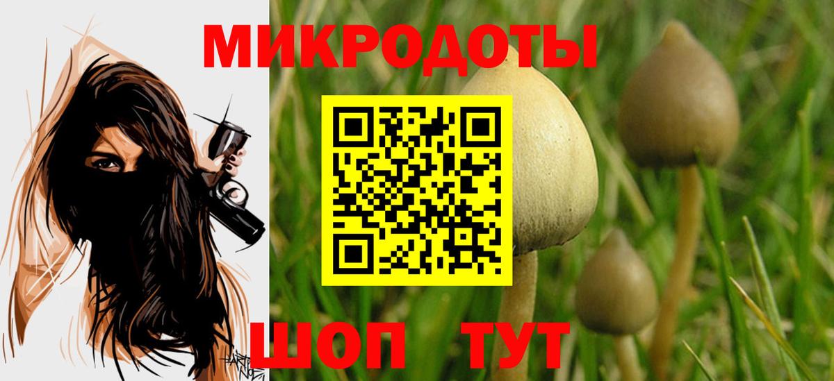 Псилоцибиновые грибы Cubensis Соликамск